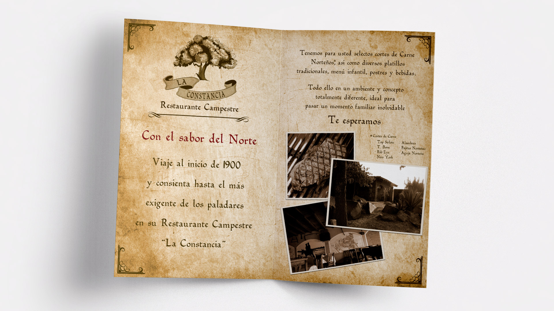 laconstancia3